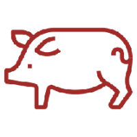 Pork